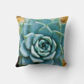 多肉質の クッション (裏面)