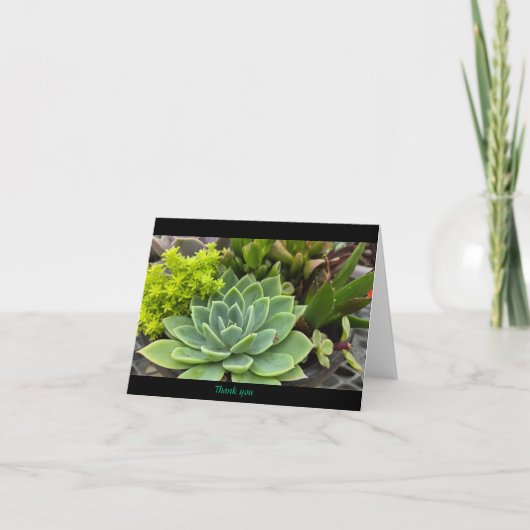 多肉質の サンキューカード (正面)