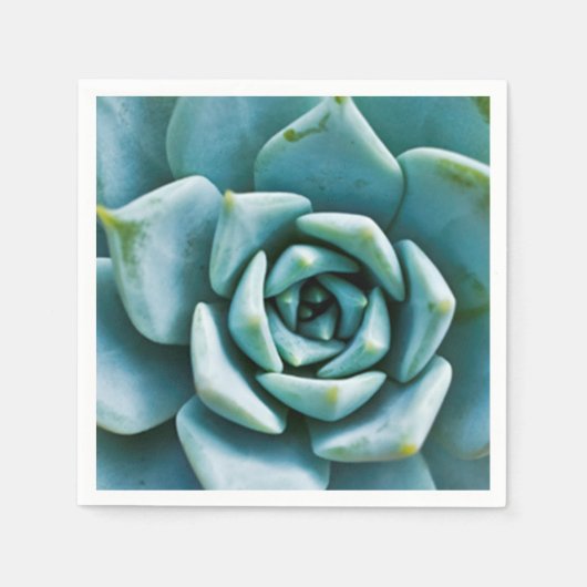 多肉質の スタンダードカクテルナプキン (正面)