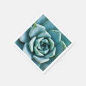 多肉質の スタンダードカクテルナプキン (角)