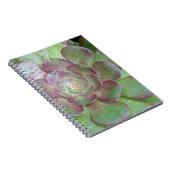 多肉質の ノートブック (右側)