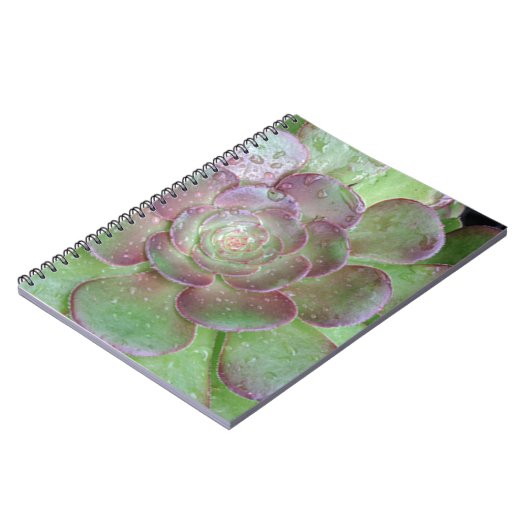 多肉質の ノートブック (左側)