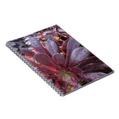 多肉質の ノートブック (右側)