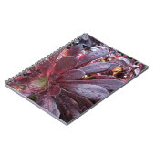 多肉質の ノートブック (左側)