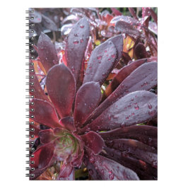多肉質の ノートブック