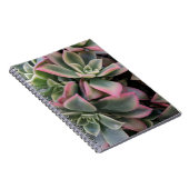 多肉質の ノートブック (右側)