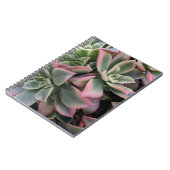 多肉質の ノートブック (左側)