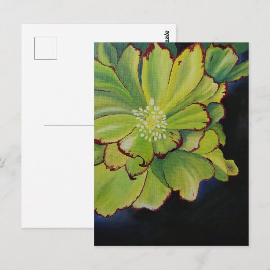 多肉質の ポストカード (正面/裏面)