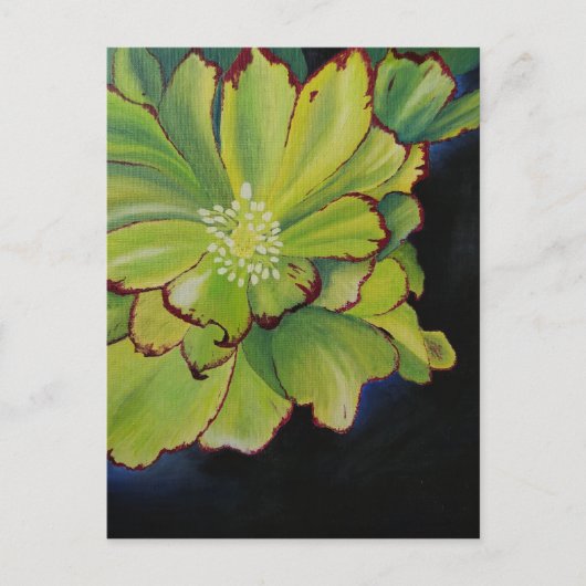 多肉質の ポストカード (正面)