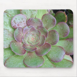 多肉質の マウスパッド