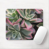 多肉質の マウスパッド (マウス)