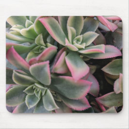 多肉質の マウスパッド