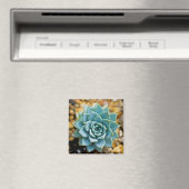 多肉質の マグネット (インサイチュ (食洗機))