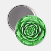 多肉質の マグネット (正面/裏面)