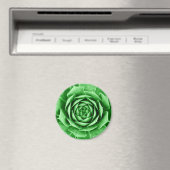 多肉質の マグネット (インサイチュ (食洗機))