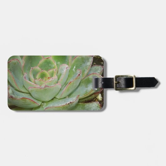 多肉質の、雌鳥と雛 ラゲッジタグ (正面横)