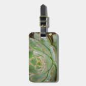 多肉質の、雌鳥と雛 ラゲッジタグ (正面縦)