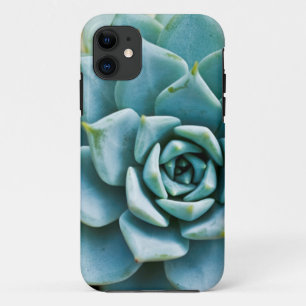 多肉質の iPhone 11 ケース