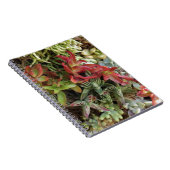 多肉質カラフルの ノートブック (右側)