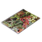 多肉質カラフルの ノートブック (左側)