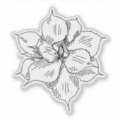 多肉質ステッカー シール (正面)