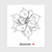 多肉質ステッカー