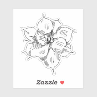 多肉質ステッカー シール