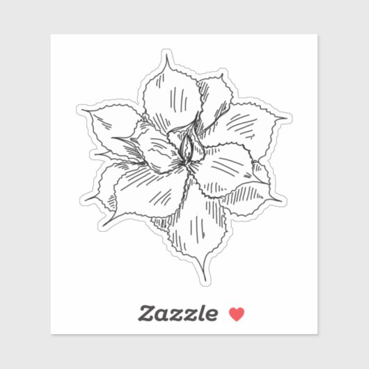 多肉質ステッカー シール (シート)