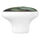 多肉質セラミックノブ セラミックノブ (側面)