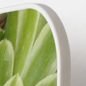 多肉質ピックボールパドル ピックルボールラケット (左詳細)