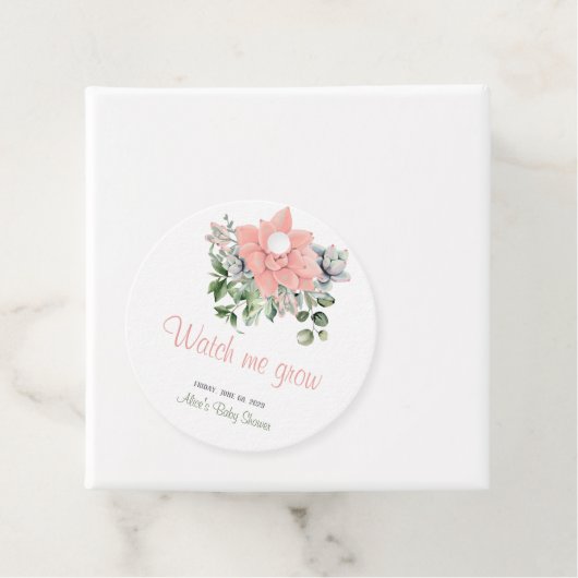 多肉質モダンの私が緑のサンゴを成長する見る フェイバータグ (インサイチュ)