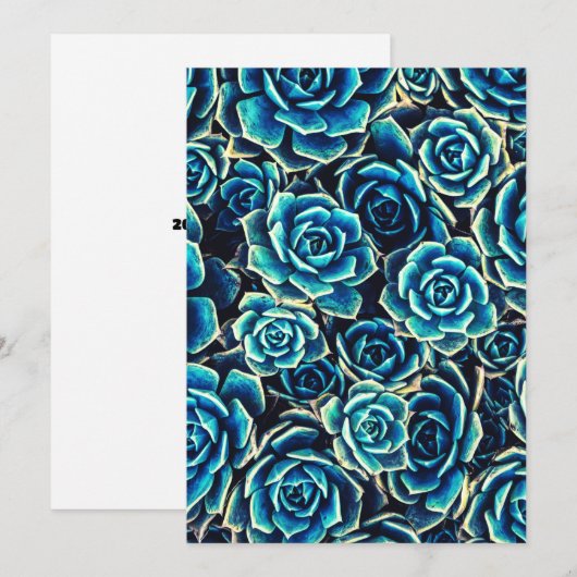 多肉類 シーズンカード (正面/裏面)