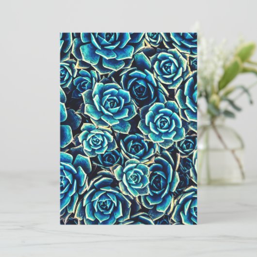 多肉類 シーズンカード (スタンド正面)