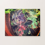 多肉類 ジグソーパズル (横)