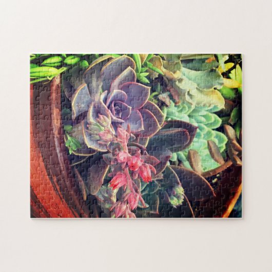 多肉類 ジグソーパズル (横)