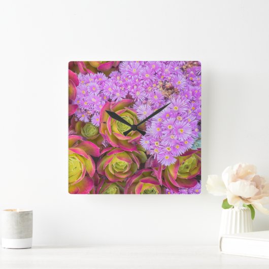 多肉類 スクエア壁時計 (ホーム)