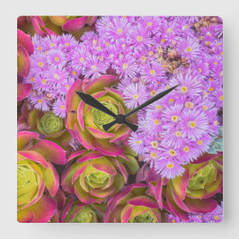 多肉類 スクエア壁時計