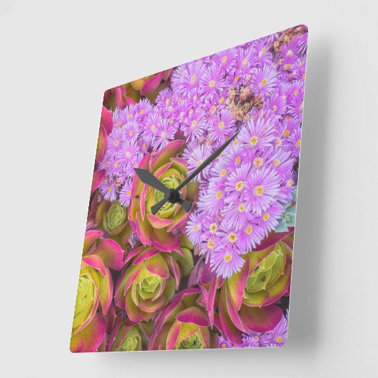 多肉類 スクエア壁時計 (傾斜)