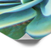 多肉類 ポスター (角)