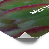 多肉類 ポスター (角)