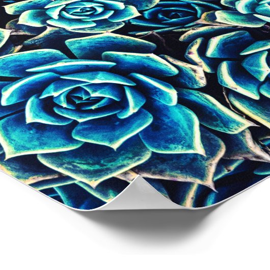 多肉類 ポスター (角)