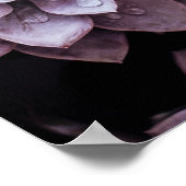 多肉類 ポスター (角)