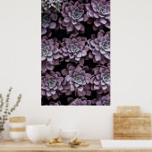 多肉類 ポスター (キッチン)