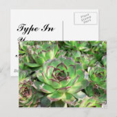 多肉類 ポストカード (正面/裏面)