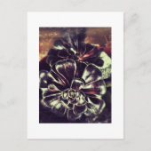 多肉類 ポストカード (正面)