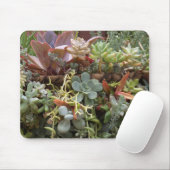 多肉類 マウスパッド (マウス)
