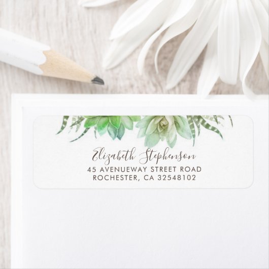 多肉類 ラベル (インサイチュ)