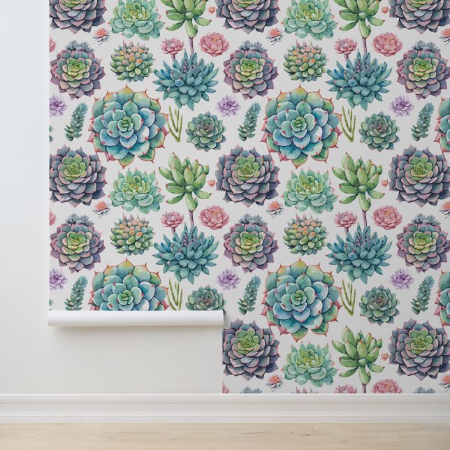 多肉類 壁紙 (アプリケーション)