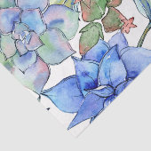 多肉類 薄葉紙 (詳細)