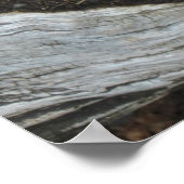 多肉食のエチェベリアのポスター ポスター (角)